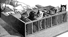 Cat_piano_1883.jpg