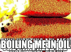 bafkreiajedyi5jsg4jkb2tfd4ba6ietrz3lyt7dhlubaix5plbjxnbsev4.jpg