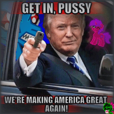 GetInPussy!!.gif