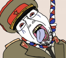 1733507567125905.jpg