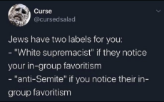 Jews use the buzzwords 'white supremaist' and 'anti-semite' to shut you up.jpg
