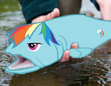 296223__safe_artist-colon-geckofex_edit_rainbow+dash_fish_human_fishified_fishy+fishy_irl_kanye+west_not+salmon_photo_ponies+in+real+life_rainbow+trout_that27s.jpg