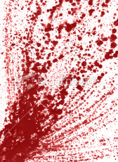 blood spatter.jpg