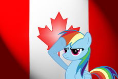 canadian_salute_by_magicwu….jpg