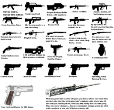 Guns guide.jpg