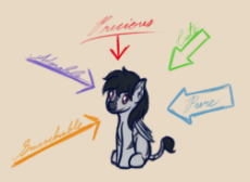 zebrat-1.png