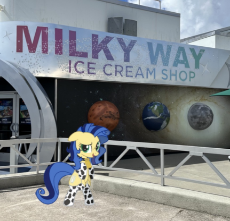 Ice Cream Shop.jpg