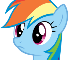 My Little Pony - Rainbow Dash - What.gif