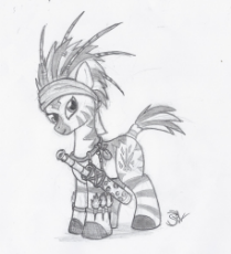 Zebra warrior.jpg