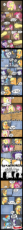 2332435__safe_twilight+sparkle_rainbow+dash_pinkie+pie_fluttershy_rarity_applejack_angel+bunny_winona_pony_clothes_unicorn_pegasus_earth+pony_alicorn.jpg