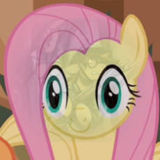 1255082__safe_derpy hooves_fluttershy_oc_oc-colon-aryanne_animated_collaboration_collage_female_flashback_gif_griffon_i've seen some shit_las pegasus.gif