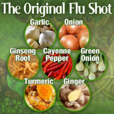 the original flu shot.jpg