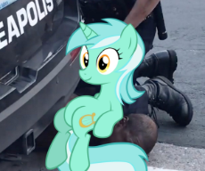 6164098.jpg