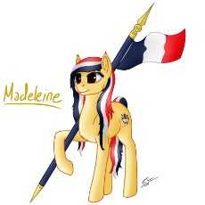 1166045__safe_artist-colon-speed-dash-chaser_oc_oc-colon-madeleine_oc only_earth pony_flag_france_french_hoof hold_nation ponies_ponified.png