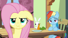 Fluttershy's_frustrated_scowl_S6E11.png