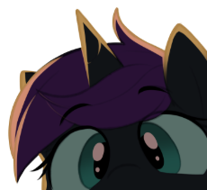 5895d122.nyx-oc.png