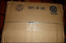box of rape.webm