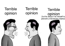 terrible_opinion.png