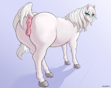 white mare.jpg