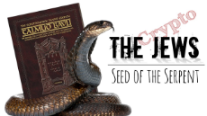 The-Jews-Seed-of-the-Serpent.jpeg