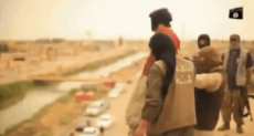 20250514_052129.gif