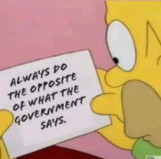 homer-simpson-always-do-opposite-of-what-government-says.jpg