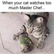 cat-watches-two-much-master-chef-mouse-garnish.jpeg