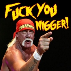 hulk_hogan_fuck_you_nigger.jpg