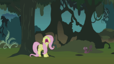 Fluttershy_freaks_out_in_the_Everfree_forest_S1E17.png