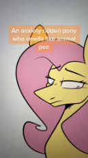 SnapTik-dot-Kim-f49073f4567c45203b83ae3f63b829f7.mp4