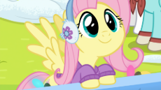 3768081__safe_derpibooru+import_screencap_fluttershy_helia_white+lightning_pegasus_pony_g4_clothes_cute_earmuffs_female_fluttershy's+purple+sweater_i.png