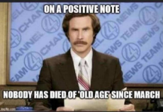 anchorman-on-positive-not-no-one-died-of-old-age-since-march.jpg