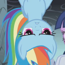 1256654__safe_screencap_rainbow+dash_twilight+sparkle_dragonshy_animated_blinking_floating_gif_pony_upside+down.gif