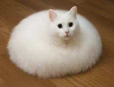 ksdjkshjhfdgbhzff.PNG