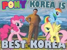 ponykorea.jpg