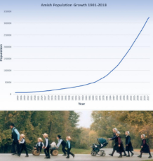 amish population growth 1901-2018.png