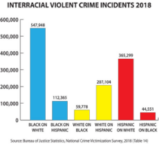interracial_violent_crime_2018.jpg