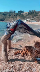 caturday at the beach.mp4