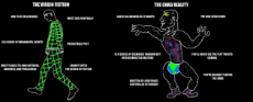 the-virgin-fiction-vs-the-chad-reality-v0-q0snbep5uws41.png
