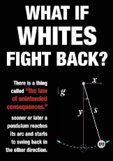 What if Whites Fight Back.jpg