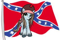 ponyWithConfederateFlag.png