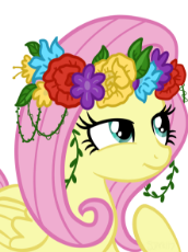 flutter.png