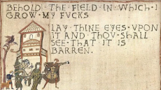 Field of Fucks.png