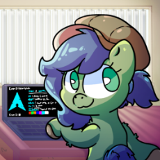 7333536.png