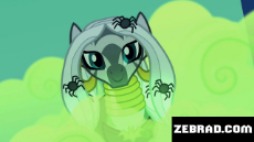 zebrad.com.jpg