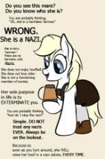 6180777__safe_artist-colon-anonymous_imported+from+twibooru_oc_oc+only_oc-colon-aryanne_pony_cider_clothes_explicit+source_female_mare_meme_nazi_ponified+meme_s.png