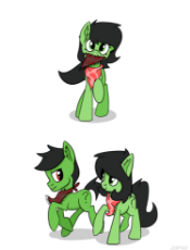 anonfilly giving anoncolt a bandana.png
