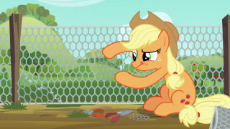 Applejack_fixing_hole_in_c….png
