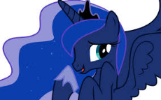images (15).jpeg