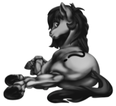 BLACK AND WHITE HORSEY 2.png